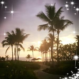 Meet your Posher, Kitsy